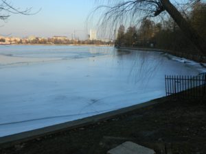 Parco Herastrau - Lago parzialmente ghiacciato