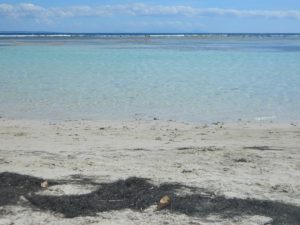 Scorcio della Spiaggia di Bois Jolan