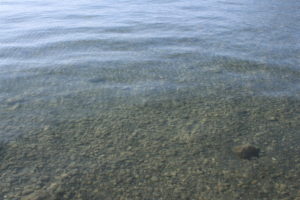 Lago di Thun - la purezza dell'acqua