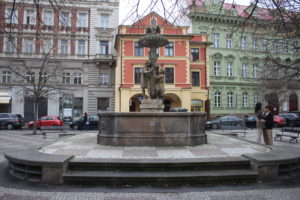 Fontana Wimmerova